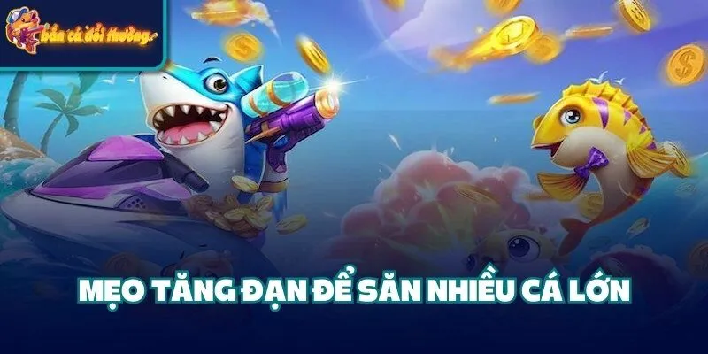 Tuyệt Chiêu Săn Cá Lớn - Tối Ưu Điểm Số Và Tài Nguyên 1 Mẹo tăng đạn để săn nhiều cá lớn